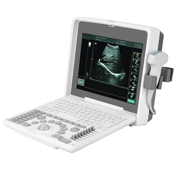 Medicininis gyvūnų veterinarijos instrumentas Ultragarso aparatas Veterinarinio nėštumo skaitytuvo kaina