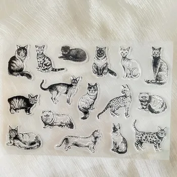 mielas gyvūnas įvairios katės Skaidrus antspaudas Skaidrus silikoninis antspaudas Antspaudo lapas 
