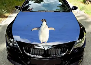 Mielas pingvinas gyvūnas Individualus automobilio gaubto lipduko dekoravimas,Automobilių aksesuarai Gaubtas Vinilo apsaugos dangtelis,Automobilio kėbulo lipduko įvyniojimo grafika