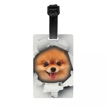 Mielas Pomeranijos šuo skylėtame bagaže Žyma Pasirinktinis špicas Šuniuko bagažas Žymės Privatumo viršelio ID etiketė