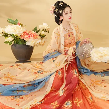 WATER Hanfu Moteris Kinija Tradicinės suknelės Cosplay kostiumas Tang dinastijos siuvinėjimas didelėmis rankovėmis suaugusiųjų pavasario ruduo