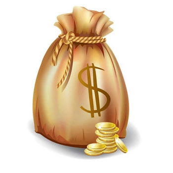 Muslino gyvenimas Produkto biudžeto mokėjimas / pašto išlaidų / kainų skirtumo užpildymas 15 USD